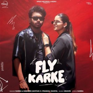 Fly Karke album art