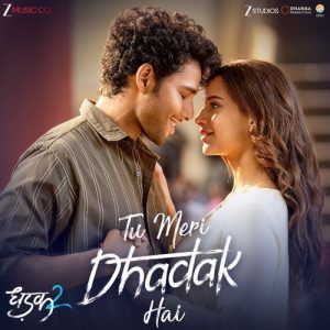 Tu Meri Dhadak Hai album art